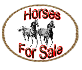 Click here to see horse I have for sale.