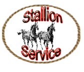 Click here to view the stallions I have standing