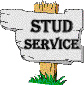 Stallion Services