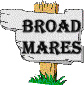 Broodmares