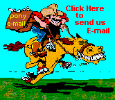 Email Double H Quarter Horses