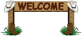 Welcome to HH Quarter Horses for Sale