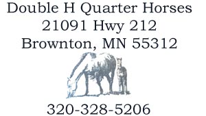 HH Quarter Horses And Paints