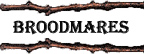 Broodmares